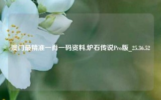 澳门最精准一肖一码资料,炉石传说Pro版_25.36.52