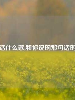 和你说说话什么歌,和你说的那句话的是什么歌