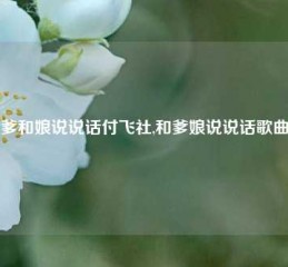 爹和娘说说话付飞社,和爹娘说说话歌曲