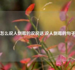 怎么说人倒霉的说说话,说人倒霉的句子