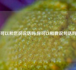 可以和您说说话吗,你可以和我说句话吗