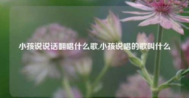 小孩说说话翻唱什么歌,小孩说唱的歌叫什么