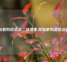 常和爸妈说说话二胡演奏,常和爹妈说说话歌曲