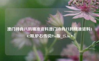 澳门持肖八码精准资料澳门持肖八码精准资料302期,炉石传说Pro版_25.36.9