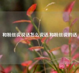 和粉丝说说话怎么说话,和粉丝说的话