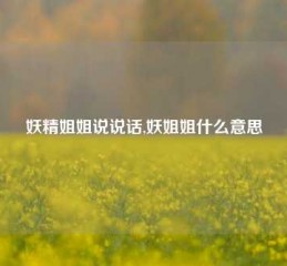 妖精姐姐说说话,妖姐姐什么意思