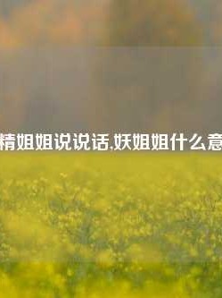 妖精姐姐说说话,妖姐姐什么意思