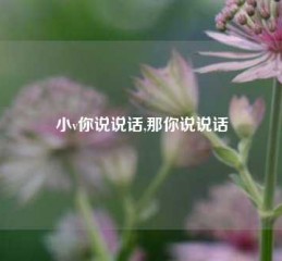 小v你说说话,那你说说话