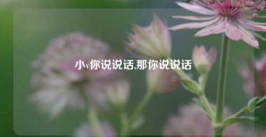 小v你说说话,那你说说话