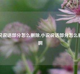 小说说话部分怎么删除,小说说话部分怎么删除啊