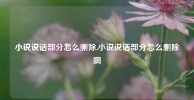 小说说话部分怎么删除,小说说话部分怎么删除啊