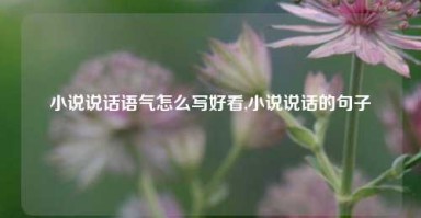 小说说话语气怎么写好看,小说说话的句子