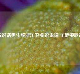 说说话男生版浙江卫视,说说话 王静雯歌词