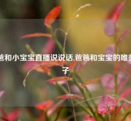 爸爸和小宝宝直播说说话,爸爸和宝宝的唯美句子