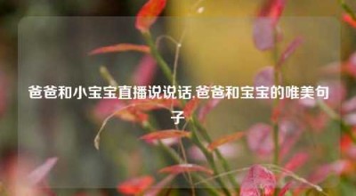 爸爸和小宝宝直播说说话,爸爸和宝宝的唯美句子