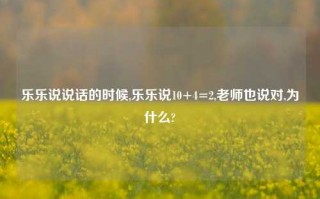 乐乐说说话的时候,乐乐说10+4=2,老师也说对,为什么?