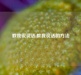 教我说说话,教我说话的方法