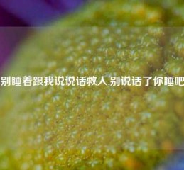 别睡着跟我说说话救人,别说话了你睡吧