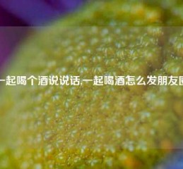 一起喝个酒说说话,一起喝酒怎么发朋友圈