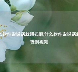 什么软件说说话就赚钱啊,什么软件说说话就赚钱啊视频