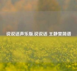 说说话声乐版,说说话 王静雯简谱