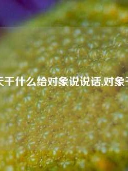 每天干什么给对象说说话,对象干啥