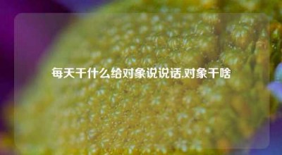 每天干什么给对象说说话,对象干啥