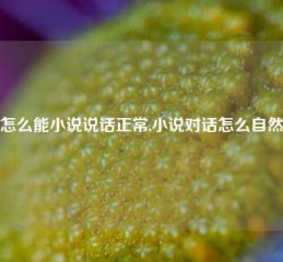 怎么能小说说话正常,小说对话怎么自然