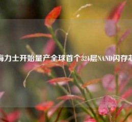 SK海力士开始量产全球首个321层NAND闪存芯片