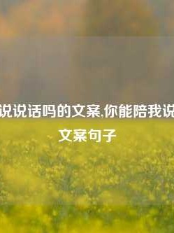 你能陪我说说话吗的文案,你能陪我说说话吗的文案句子