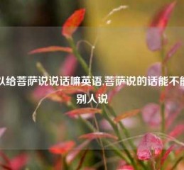 可以给菩萨说说话嘛英语,菩萨说的话能不能对别人说