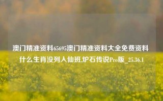 澳门精准资料65695澳门精准资料大全免费资料 什么生肖没列入仙班,炉石传说Pro版_25.36.1