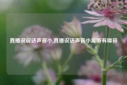 直播说说话声音小,直播说话声音小监听有噪音