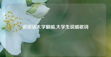 说说话大学翻唱,大学生说唱歌词