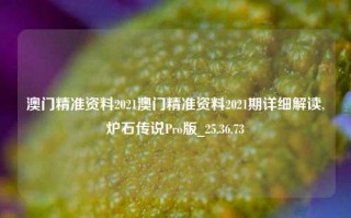 澳门精准资料2021澳门精准资料2021期详细解读,炉石传说Pro版_25.36.73