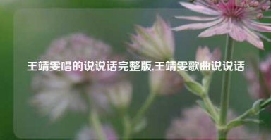 王靖雯唱的说说话完整版,王靖雯歌曲说说话