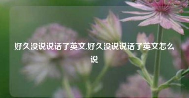 好久没说说话了英文,好久没说说话了英文怎么说