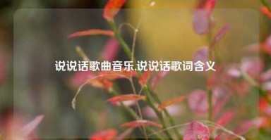 说说话歌曲音乐,说说话歌词含义