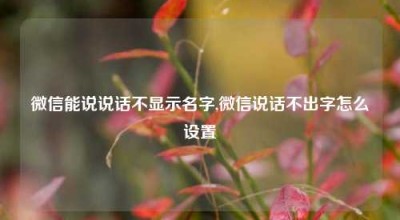 微信能说说话不显示名字,微信说话不出字怎么设置