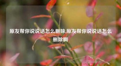 原友帮你说说话怎么删除,原友帮你说说话怎么删除啊