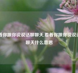 看着你跟你说说话聊聊天,看着你跟你说说话聊聊天什么意思