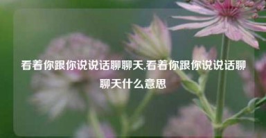 看着你跟你说说话聊聊天,看着你跟你说说话聊聊天什么意思