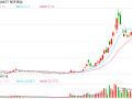 占用子公司资金遭起诉要求偿还3.38亿元 恒天海龙如何应对信誉风险？