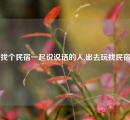 找个民宿一起说说话的人,出去玩找民宿