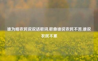 谁为咱农民说说话歌词,歌曲谁说农民不苦,谁说农民不累