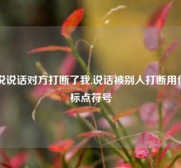 小说说话对方打断了我,说话被别人打断用什么标点符号