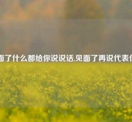 见面了什么都给你说说话,见面了再说代表什么