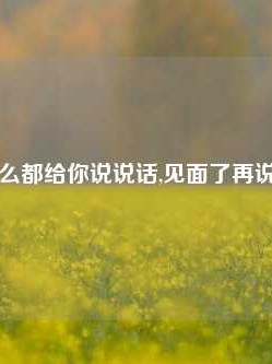 见面了什么都给你说说话,见面了再说代表什么