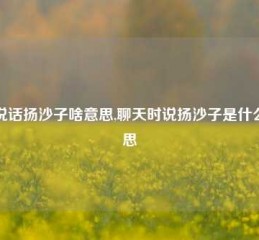 说说话扬沙子啥意思,聊天时说扬沙子是什么意思