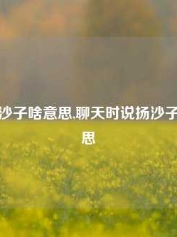 说说话扬沙子啥意思,聊天时说扬沙子是什么意思